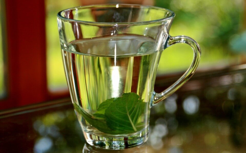 Infusion de albahaca, vaso de vidrio con infusion hojas de menta, notas naturales