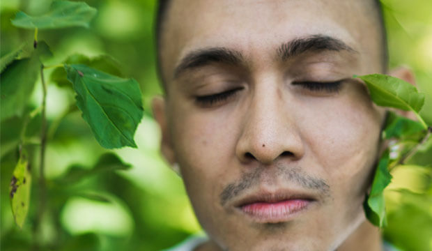 las plantas medicinales son remedios naturales bruxismo que ayudan a aliviar los síntomas