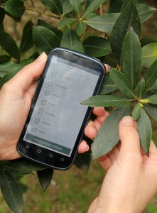Aplicacion movil para identificar arboles, identificar hojas, arbolapp, notas naturales