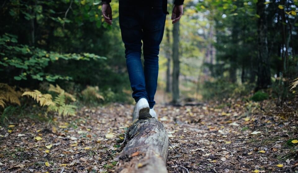 Aromaterapia y propiedades aceites esenciales. Imagen hombre caminando en un bosque