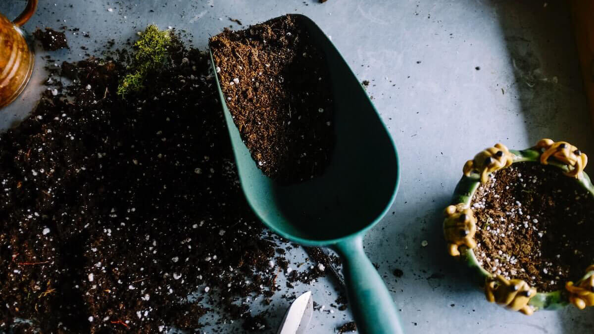 terapia con plantas es un método anti estrés a bajo coste