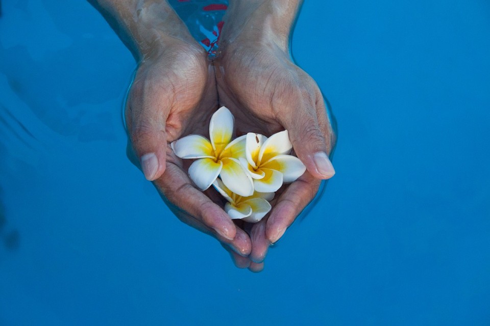 aceites esenciales indispensables. Imagen manos en agua con flores