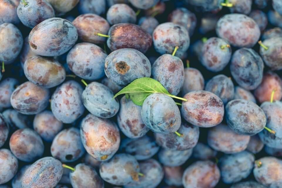 beneficios comer ciruelas fruta temporada