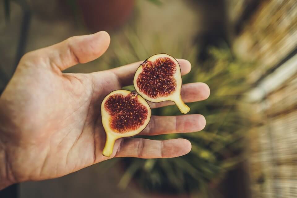 beneficios comer higos, fruta temporada