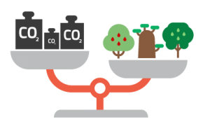 Huella de carbono, bascula, arboles, consumos, co2