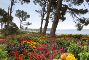 Jardines de Cap Roig @ Calella de Palafrugell | Cataluña | España