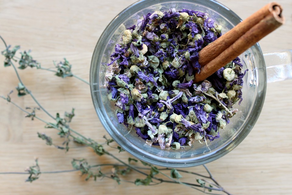 plantas medicinales para la tos, taza, hierbas, flores secas, malva, canela, notas naturales