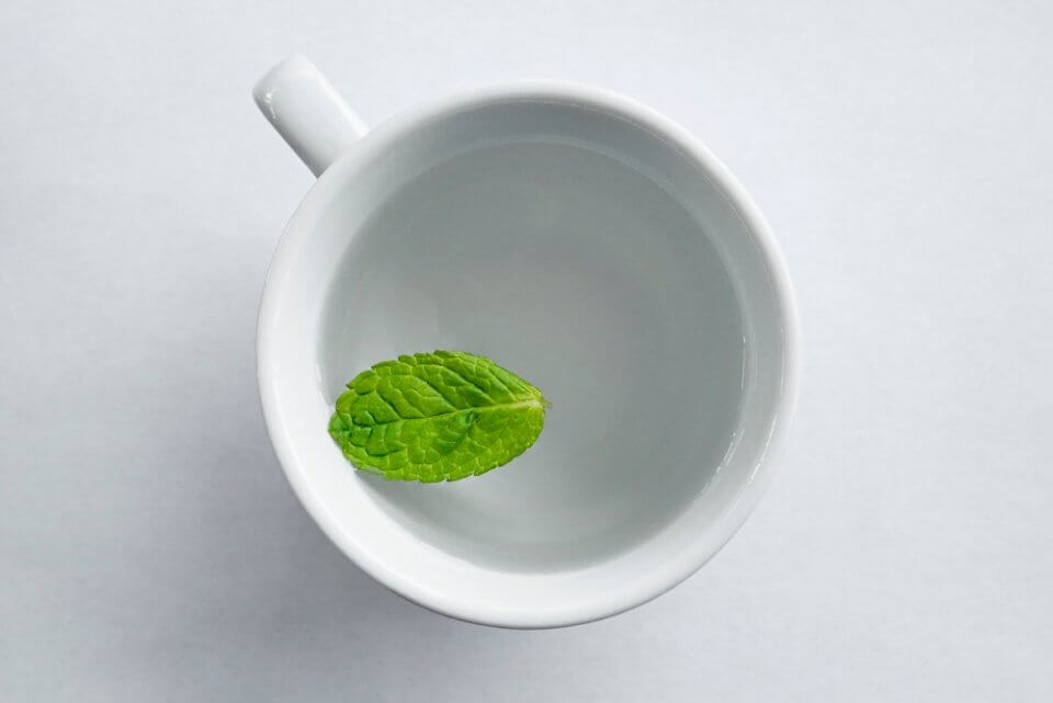 taza blanca con una hoja de menta, planta de la monografías escop de las plantas medicinales