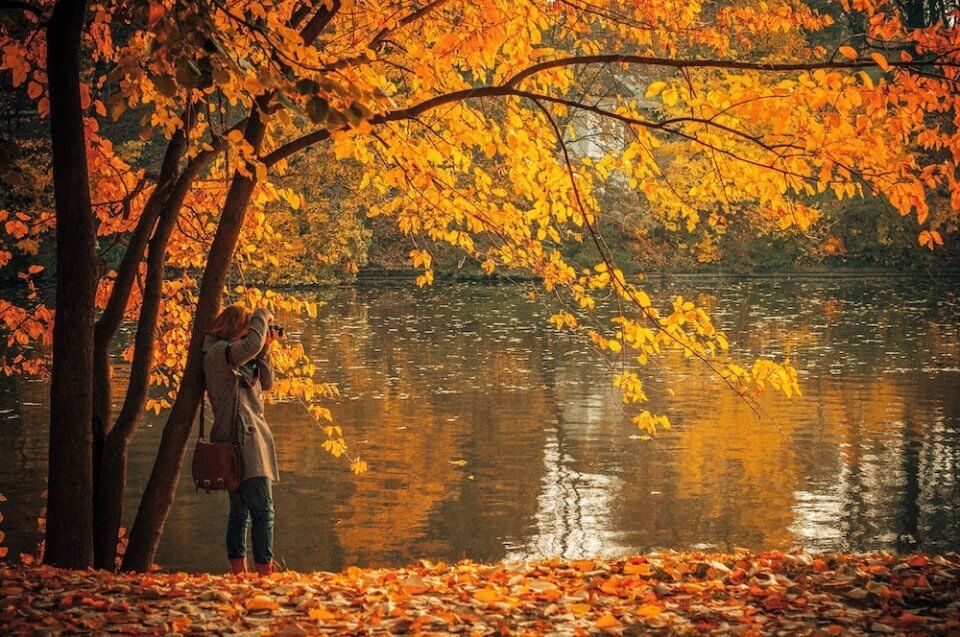 Una mujer sacando fotos de plantas en un bosque en otoño