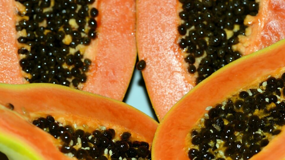 papaya propiedades, fruta tropical, notas naturales