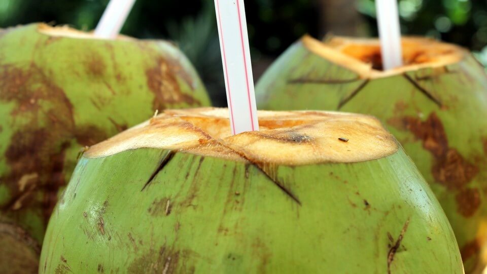 propiedades coco, coco verde, agua de coco, notas naturales