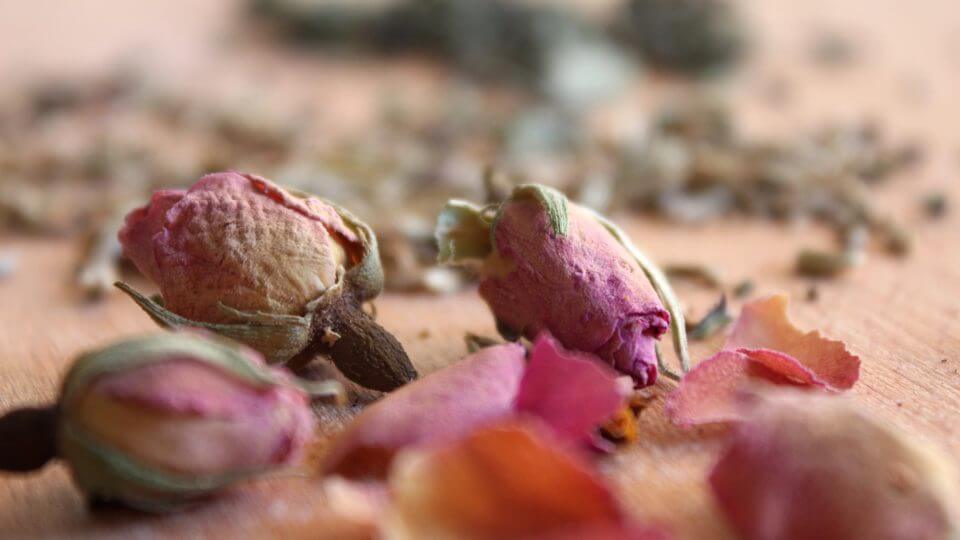 infusiones para el verano, notasnaturales