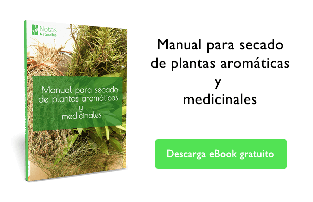 plantas medicinales y fitoterapia, ebook gratis plantas medicinales, notasnaturales