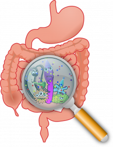 infusiones para los gases, flora intestinal