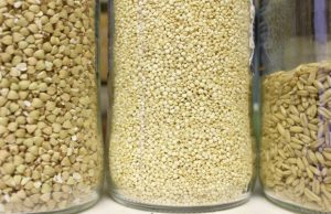 alternativas al arroz y la pasta, trigo sarraceno, notasnaturales