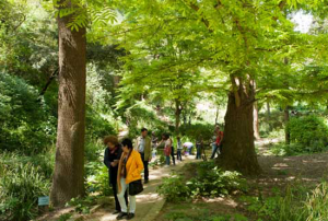 Visita al Jardin botanico histórico de Barcelona @ Jardí Botànic Històric | Barcelona | Catalunya | España