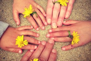 Curso online: Aromaterapia familiar @ Aula Virtual Flor-Esser by Antonia Jover