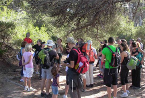 Excursión guiada para identificar plantas @ Parque Natural de Sant Llorenç del Munt i l'Obac | Catalunya | España