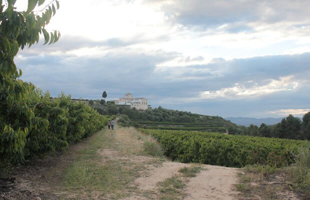 ribera del ebro