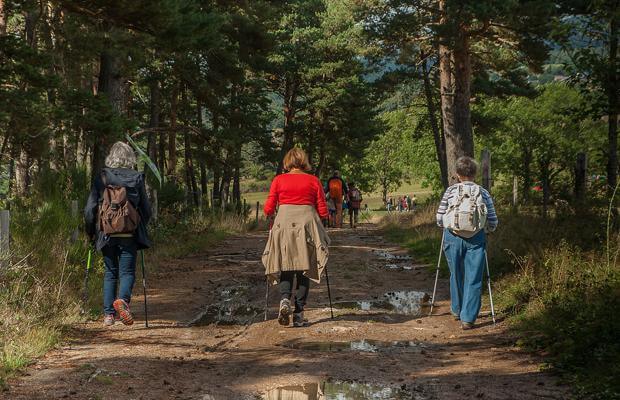 mujeres haciendo trekking en un bosque