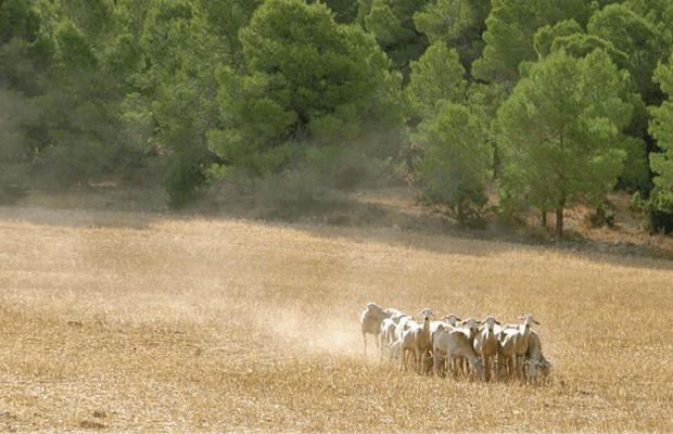 senderos de gran recorrido en españa, notas naturales