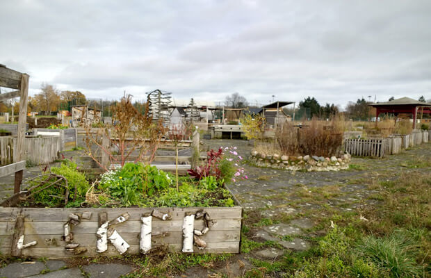 parques de berlin, notas naturales