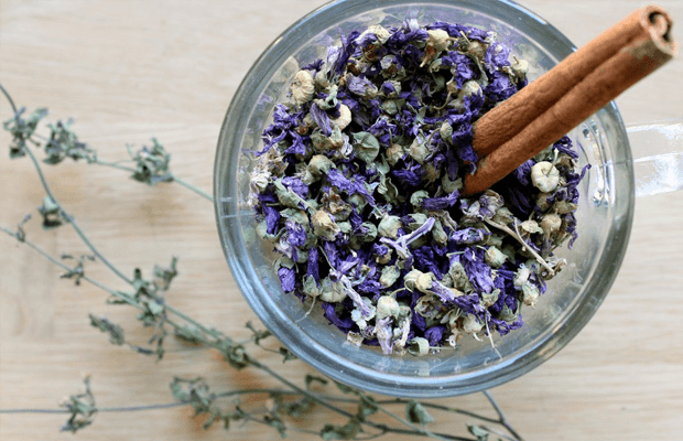 taza llena de flores de malva secos y una rama de canela para infusión