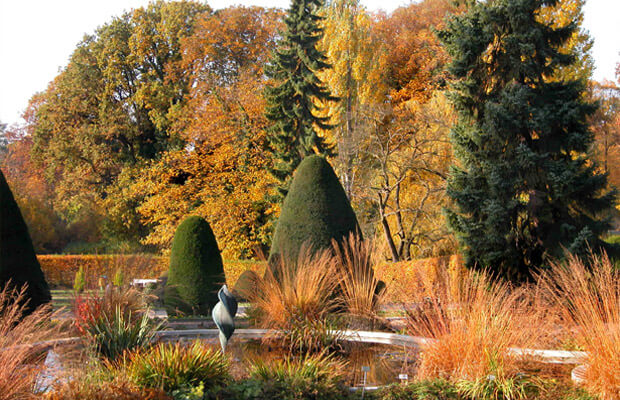 jardin botanico de berlin, notasnaturales
