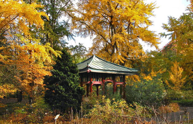 jardin botanico de berlin, notasnaturales