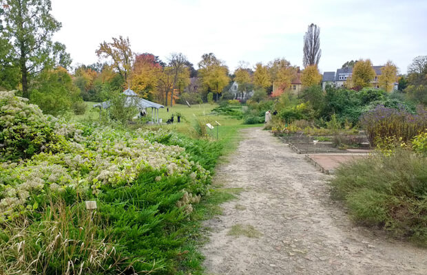 jardin botanico de berlin, notasnaturales