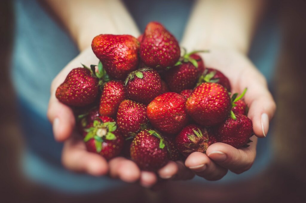 Manos que ofrecen fresas, unas frutas ideales para una alimentación saludable