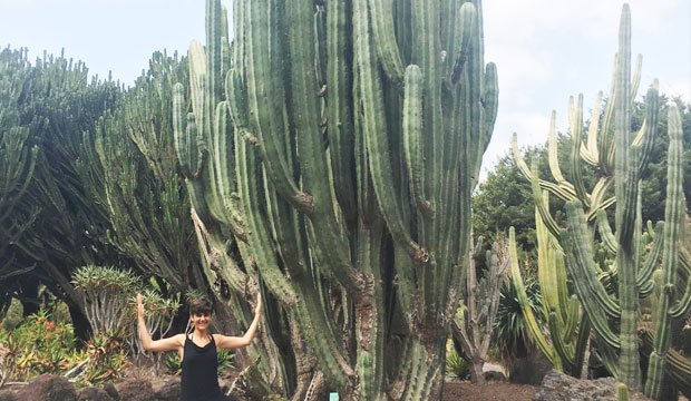 jardin botanico viera y clavijo