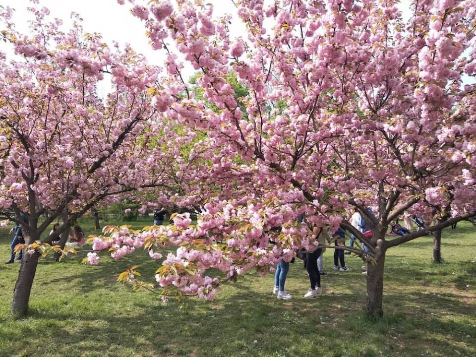 que ver en bucarest parque herastrau