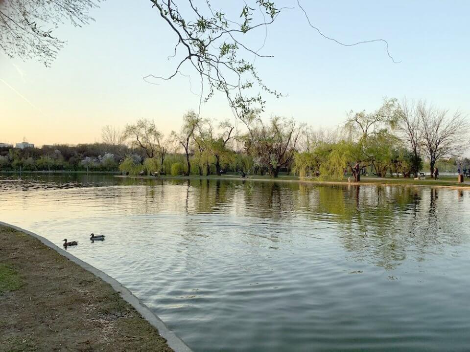 parque titan bucarest-notasnaturales