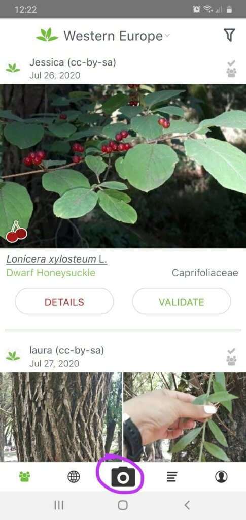 plantnet app como funciona, captura de pantalla de android