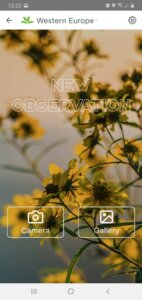 PlantNet: app colaborativa para identificar plantas