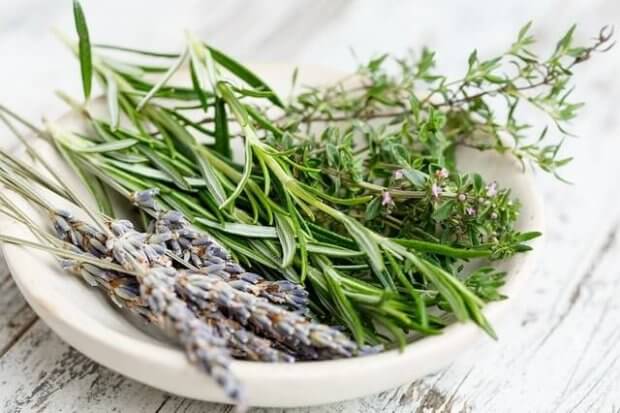 plato con algunas ramas de 10 plantas medicinales comunes: lavanda, romero, tomillo.