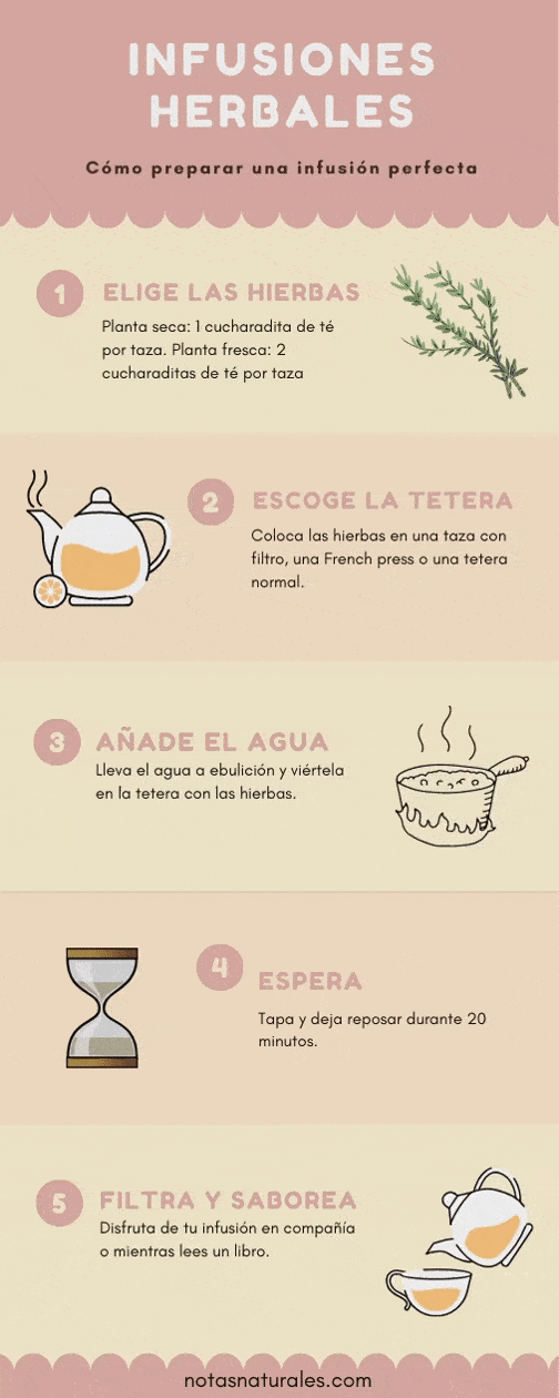 Cómo preparar infusiones de hierbas [infografía] - Notas Naturales