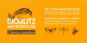 Tercer Bioblitz metropolitano @ Barcelona | Barcelona | Cataluña | España