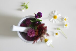 Curso de Herboristería y Fitoterapia, Gremio d'Herbolaris @ Curso online