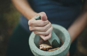 Taller de alquimia herbal @ Online