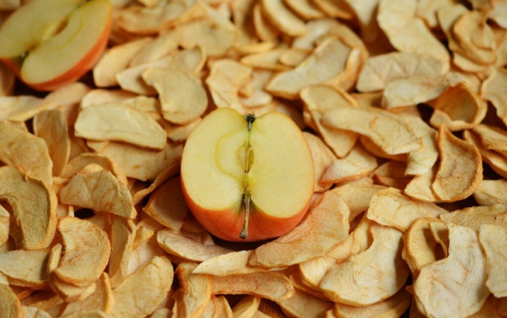 chips de manzanas deshidratadas preparadas en deshidratador de alimentos casero