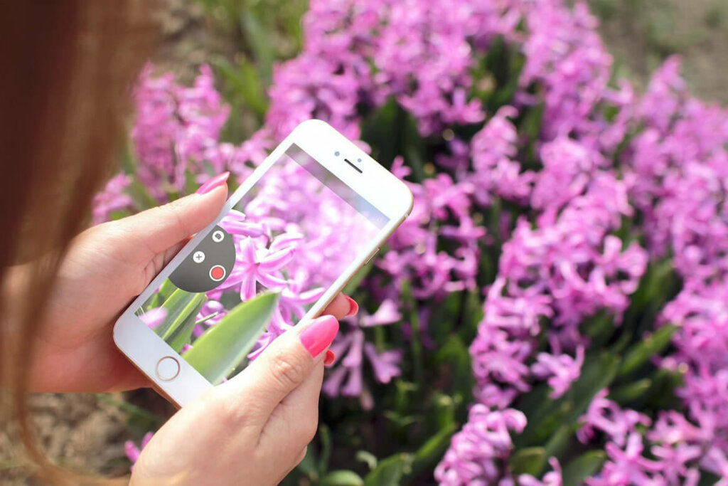 mujer sacando fotos de flores con un smartphone reacondicionado