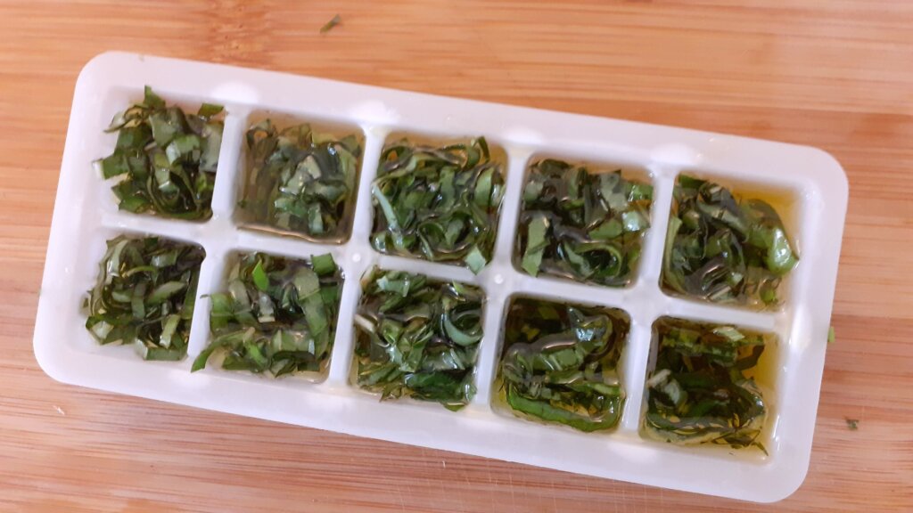 albahaca con aceite en la cubitera de hielo