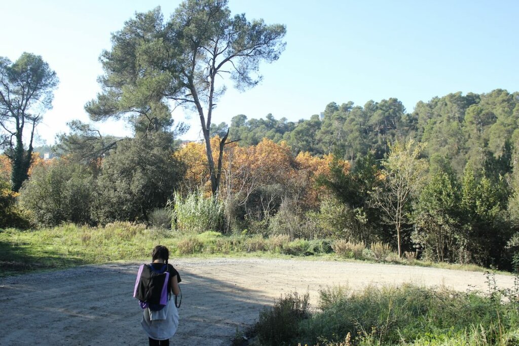 mujer pasea cerca del pantano de Vallvidrera, una de las rutas senderismo cerca de Barcelona