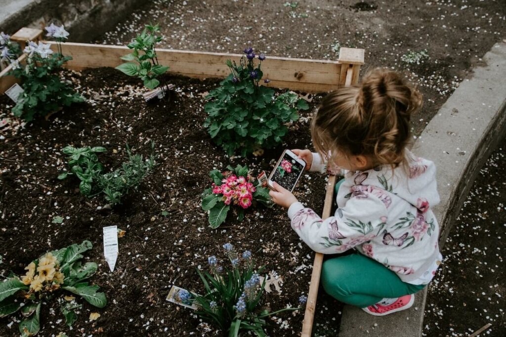 una niña aprende a conocer y cultivar plantas, acciones importantes para aprender a respetar la vida silvestre