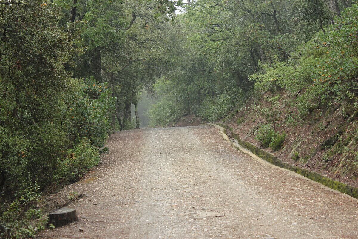 Senderos del Parque del Collserola en otoño