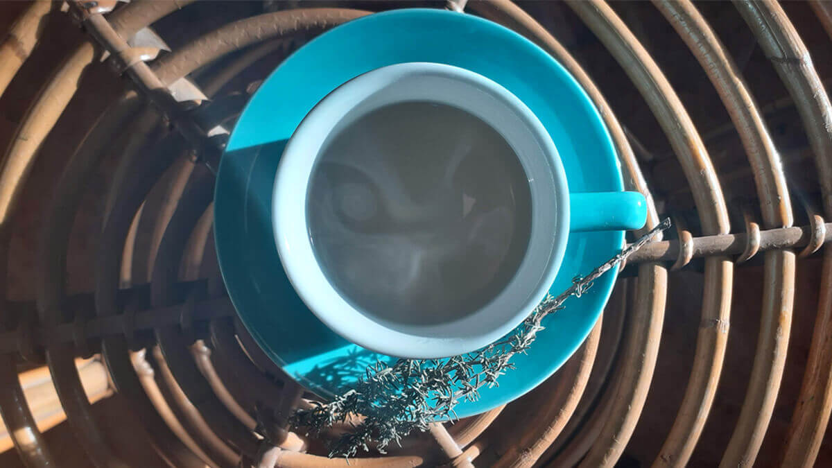 una taza de infusión de tomillo caliente, notasnaturales.com