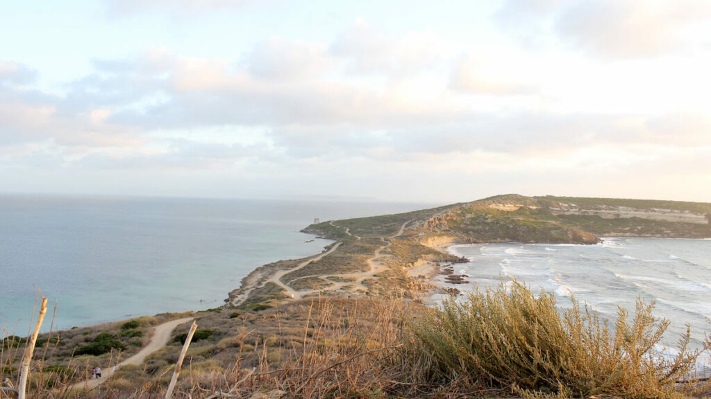 capo san marco, peninsula de sinis cerdeña, notas naturaleas