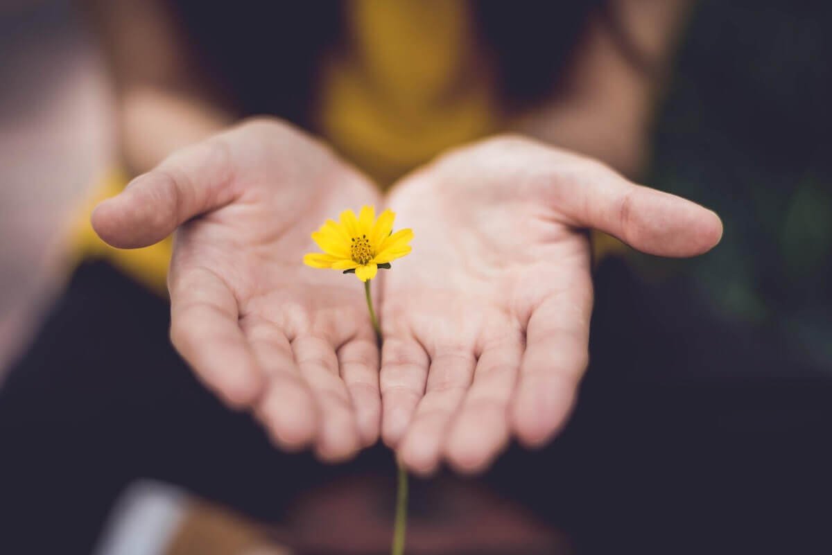 chica regala una flor como simbolo de amor por la naturaleza